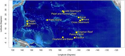 A Convolutional Neural Network for Automated Detection of Humpback Whale Song in a Diverse, Long-Term Passive Acoustic Dataset